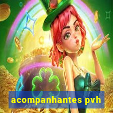 acompanhantes pvh